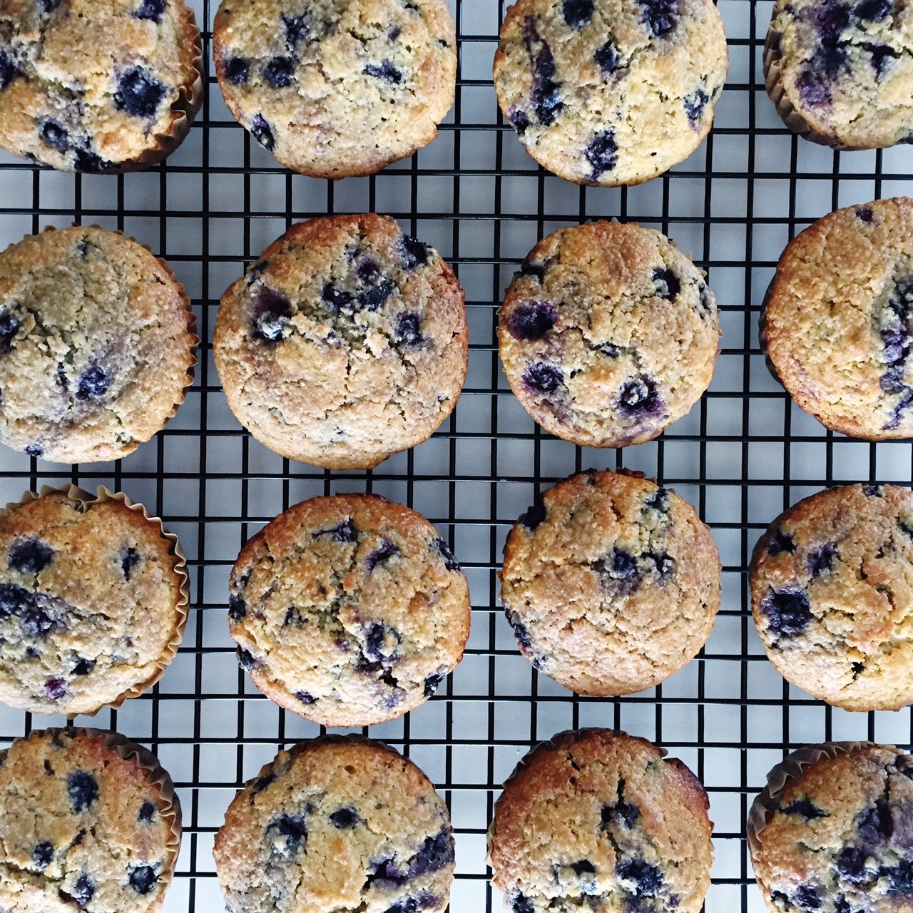 Lemon Blueberry Oat Bran Muffins-image