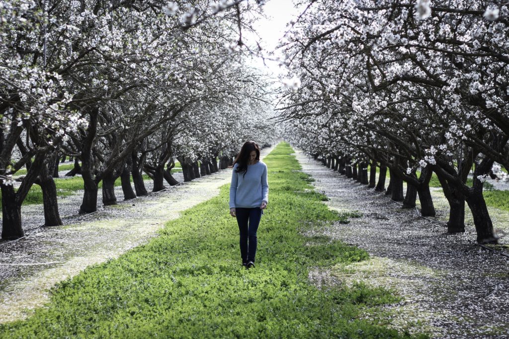 My Orchard Experience: The Top 3 Things I Learned About Almonds in Sacramento!