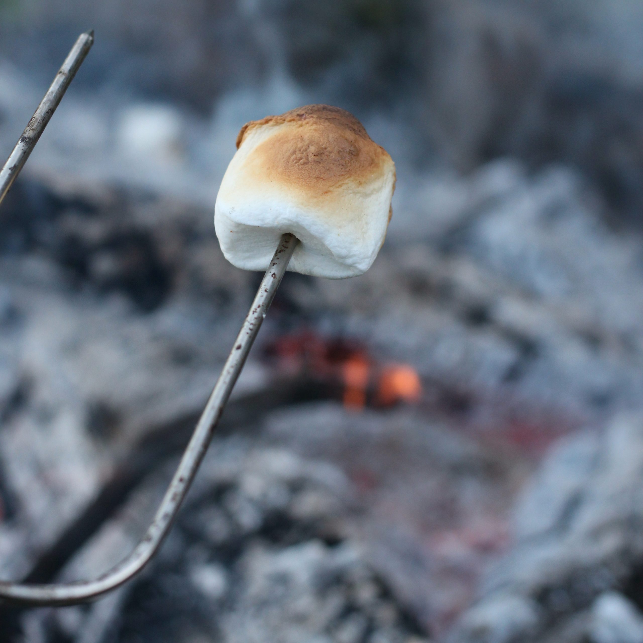 Roasting marshmallows over a camp fire for Dinosaur S'mores 