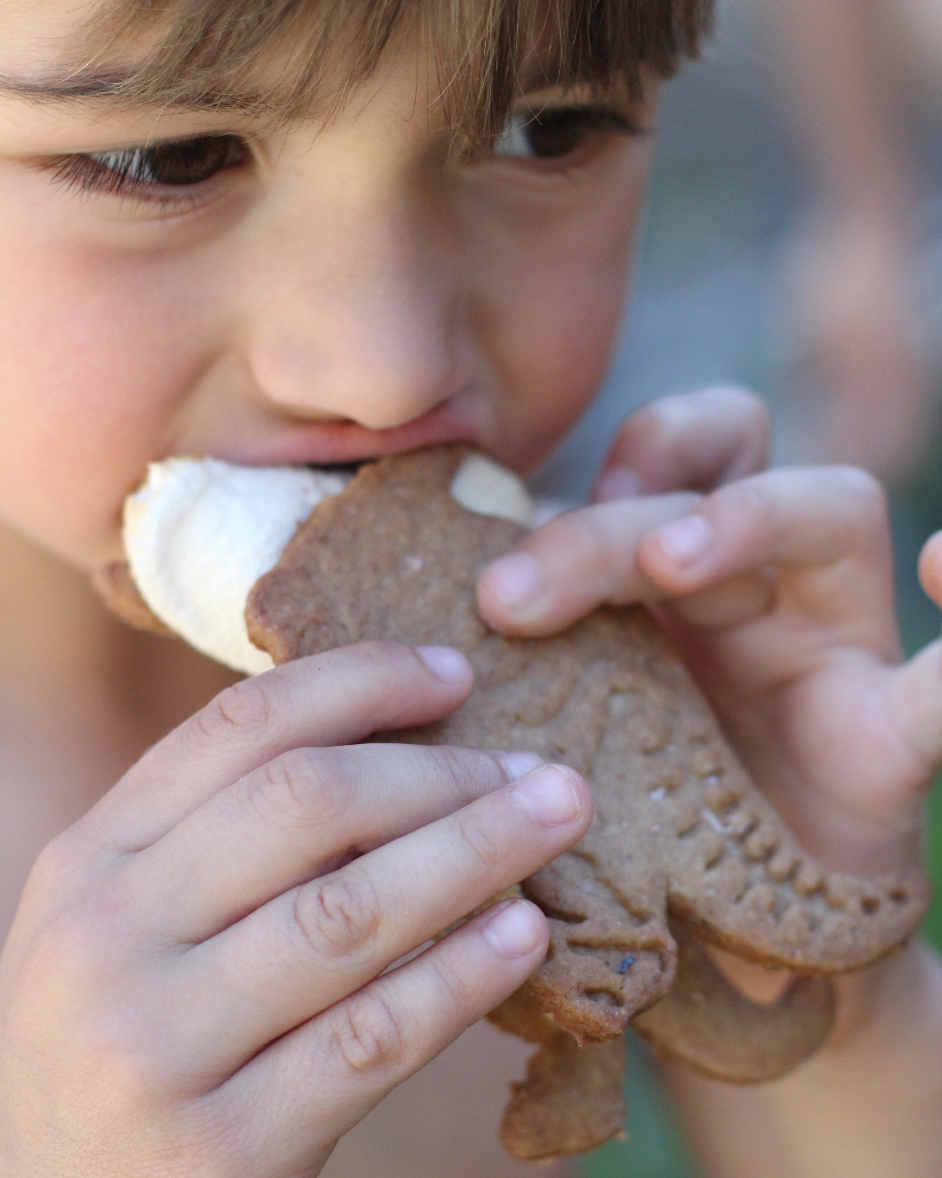 Dinosaur S'mores with homemade graham crackers by Tori Wesszer of Fraiche Nutrition