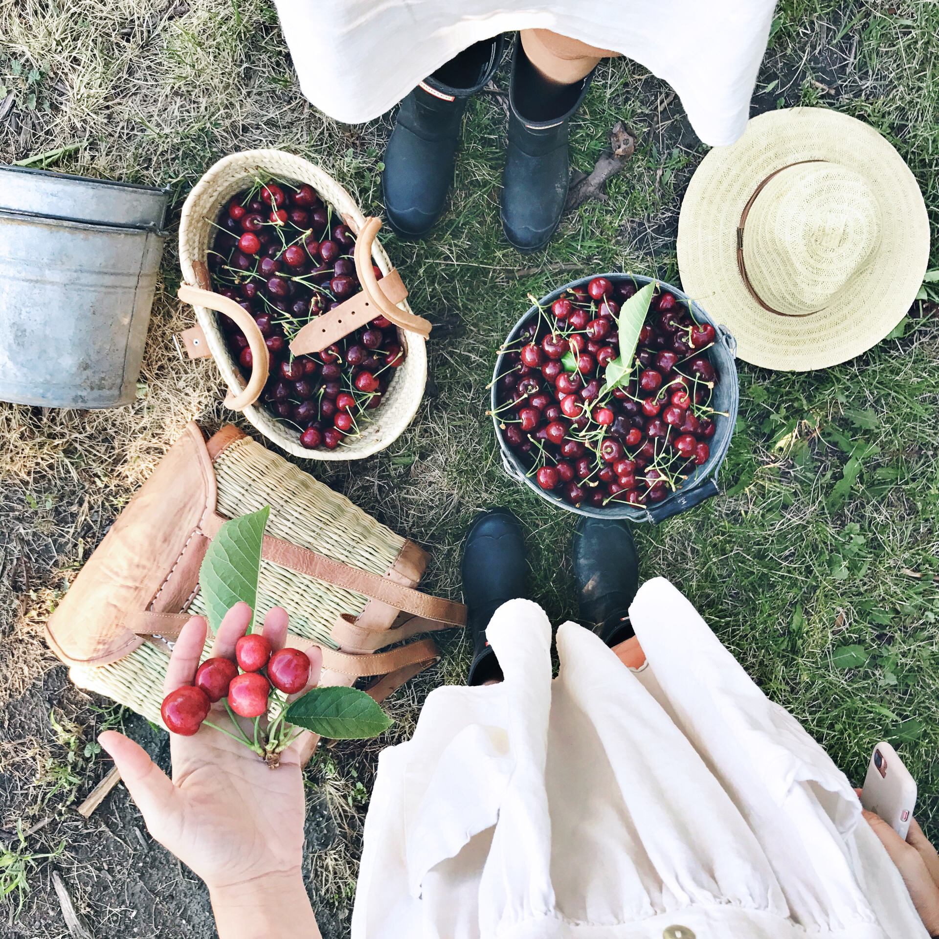 Cherry Picking with pretty baskets, white dresses and straw hats.