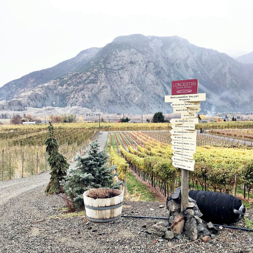 Planning a romantic fall BC winery getaway .