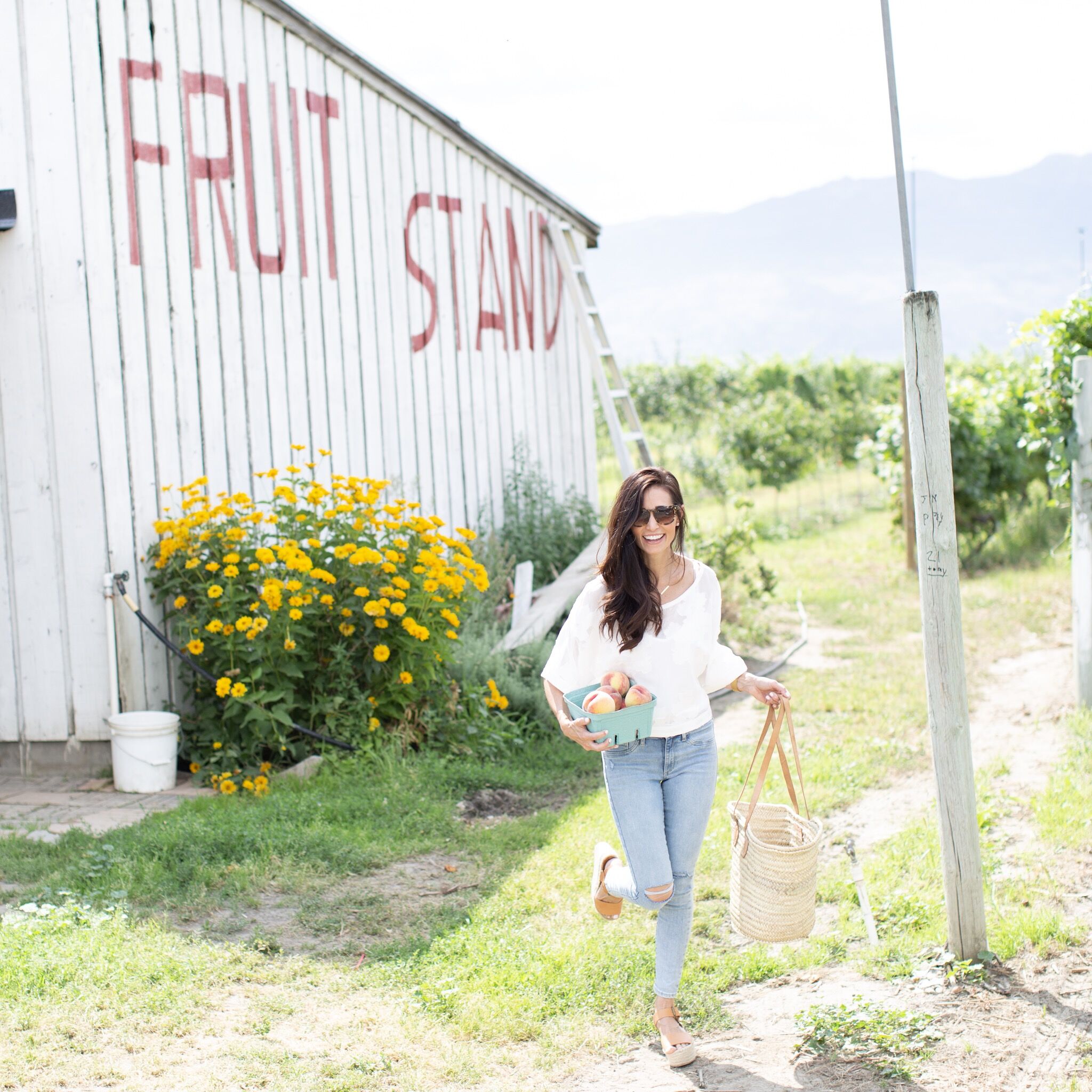 Kelowna Summer Travel Guide including where to eat, where to pick fruit, what to do and the best wineries to visit!