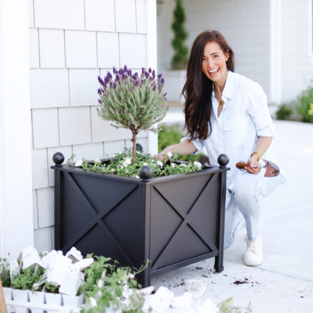 5 Days of Mothers Day Giveaways : Day 5 Hauser Planters