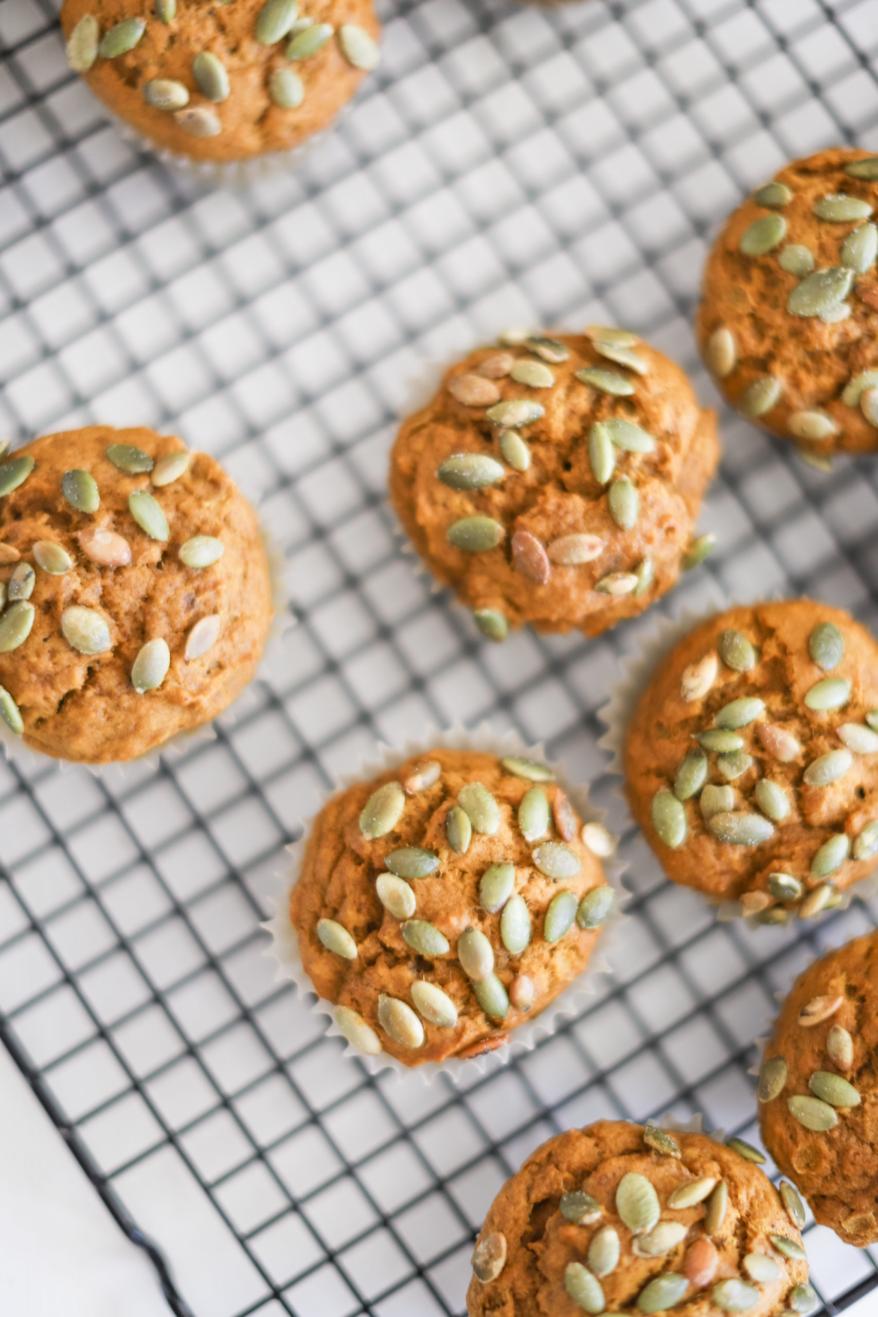 Pumpkin Muffins with a gluten free and vegan option. Simple and easy for fall breakfasts!