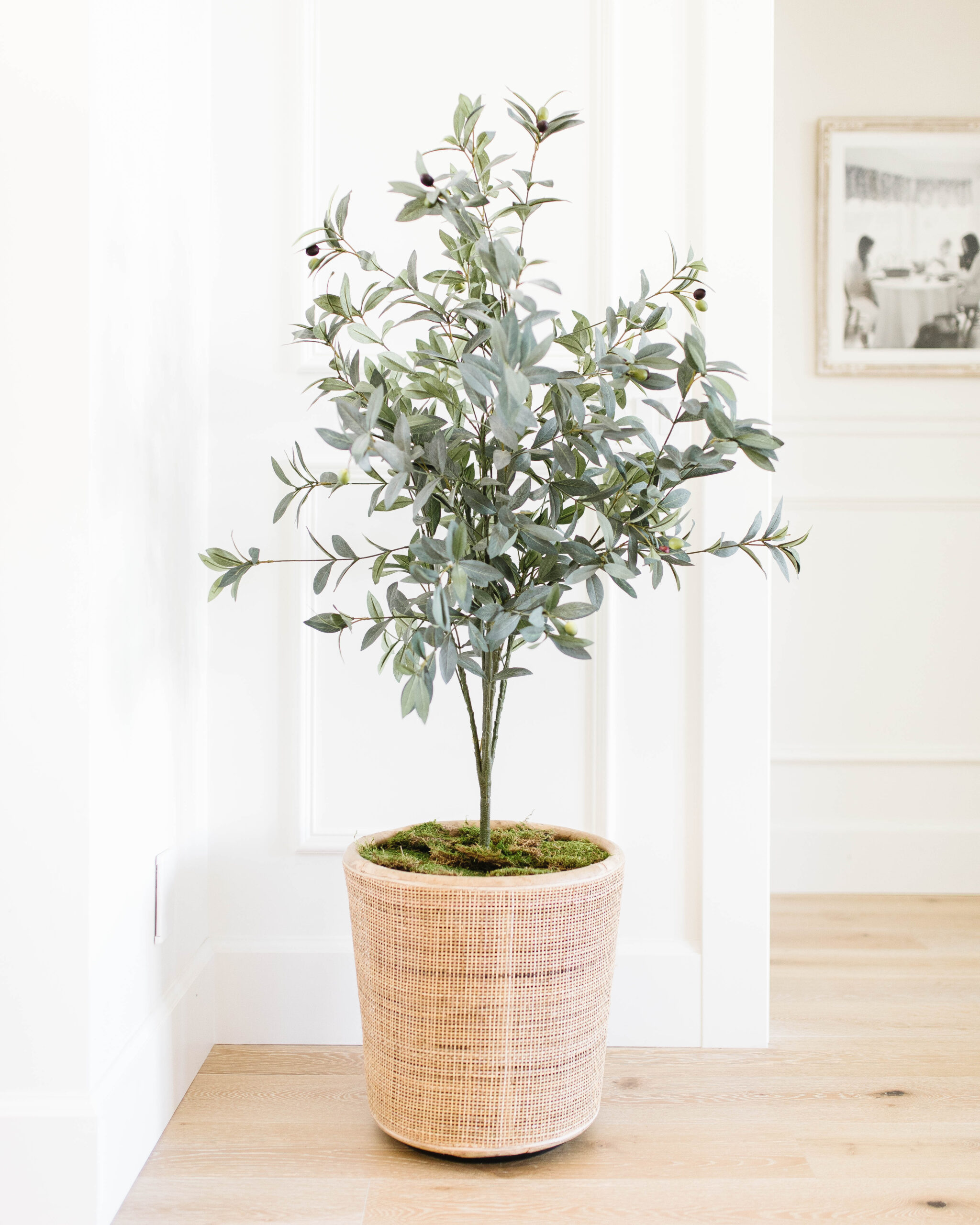 Faux Olive tree in pot