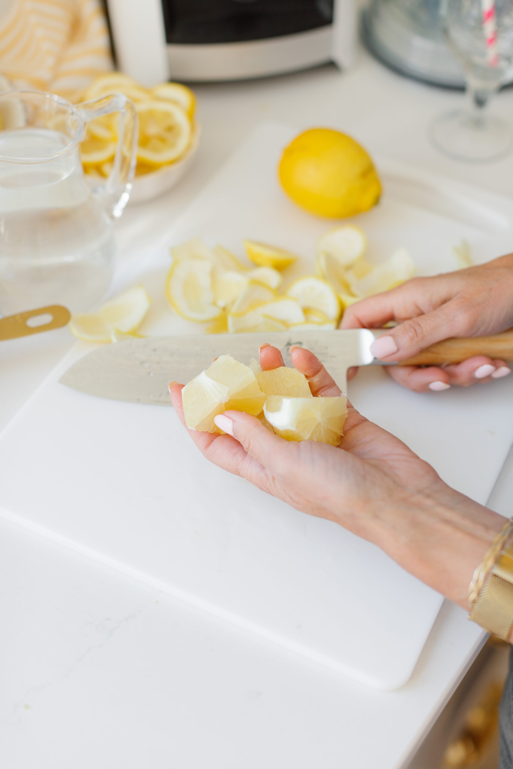 Homemade Blender Lemonade Fraiche Living