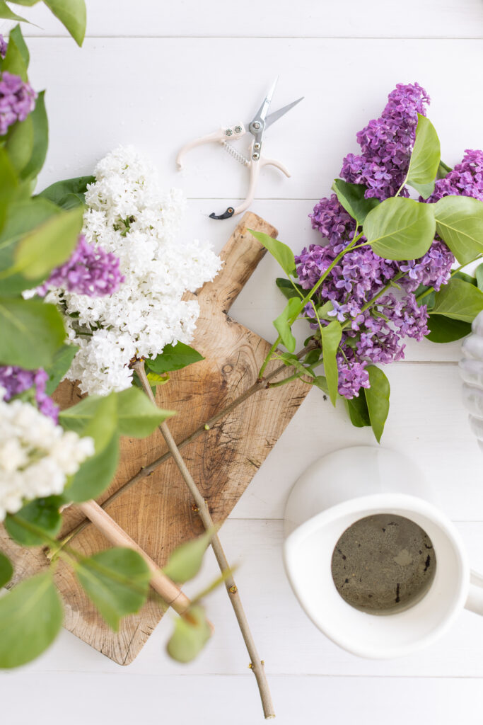 French Garden Lilacs on a table with scissors