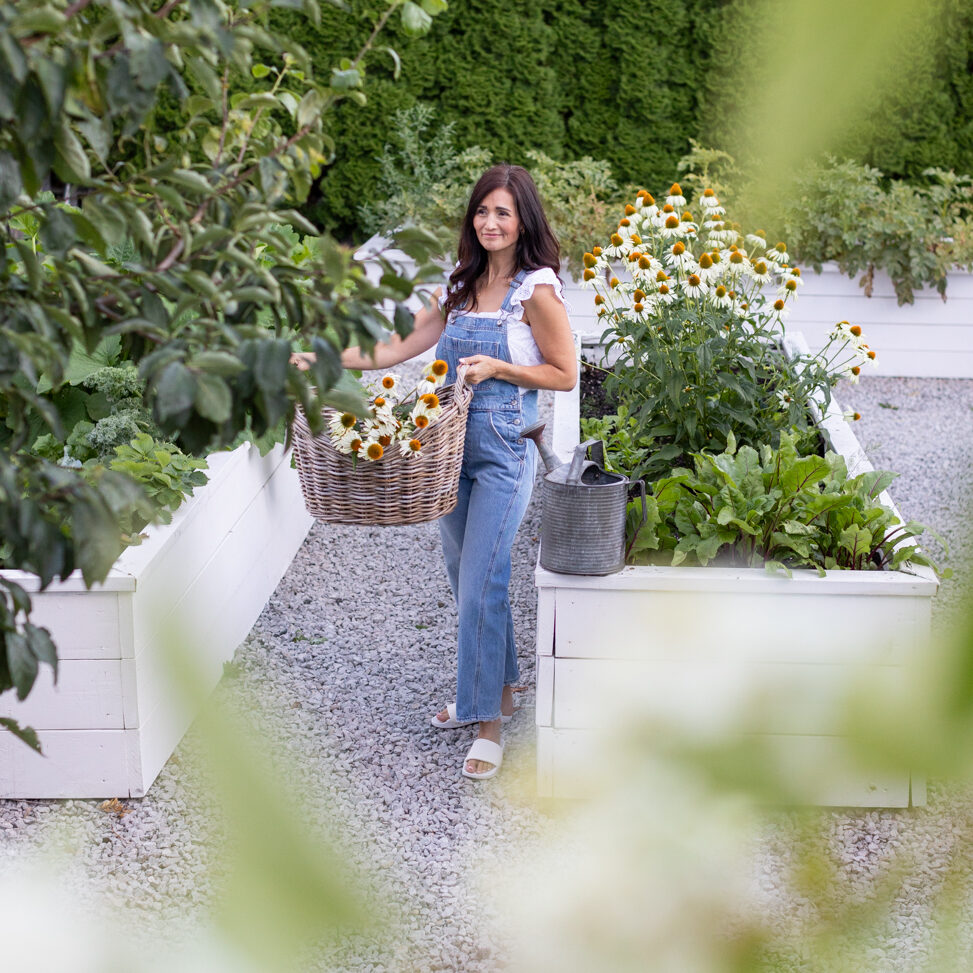 Tori in garden