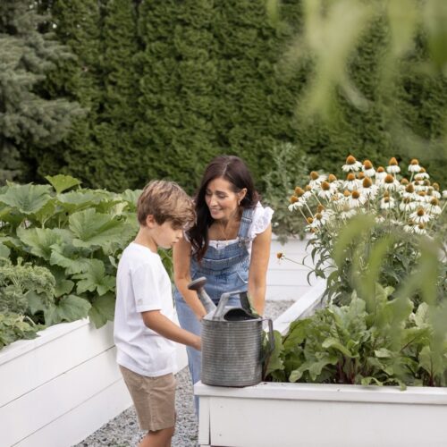 How to Grow and Use Edible Flowers